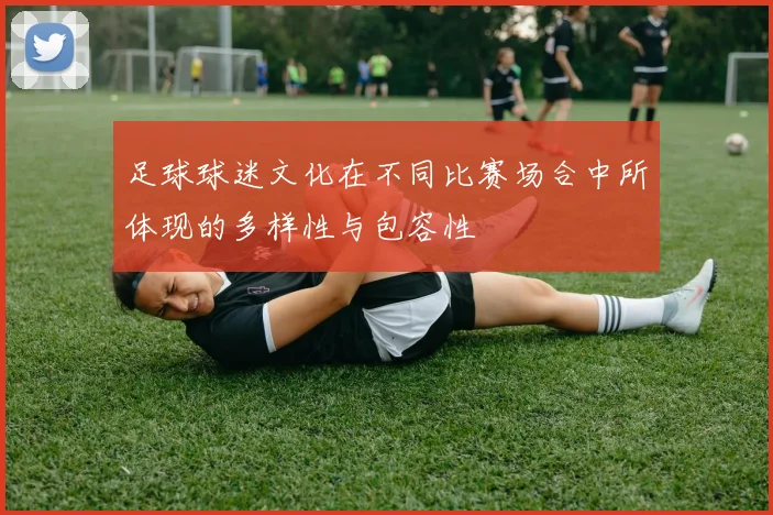 足球球迷文化在不同比赛场合中所体现的多样性与包容性
