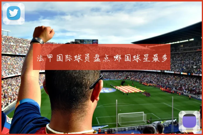 法甲国际球员盘点 哪国球星最多