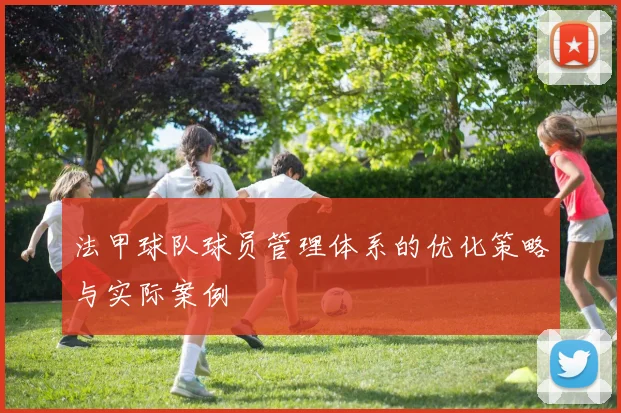 法甲球队球员管理体系的优化策略与实际案例