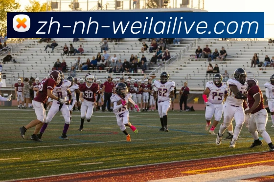 多媒体互动体验