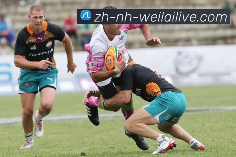 纬来体育APP 高清赛事图